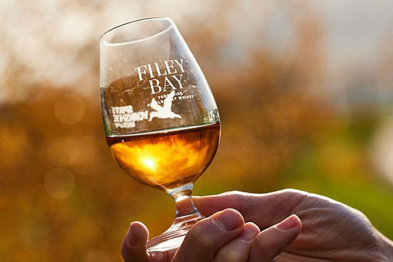 Filey Bay Whisky Nosing Glass out on the farm in the Autumn Light